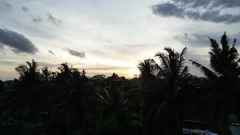 Beautiful sunset with coconut trees Video stock 294515369