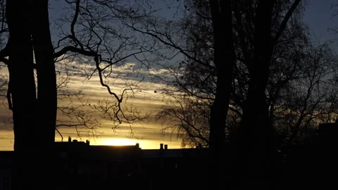 Beautiful sunset with colourful clouds seen through trees. Version 3 Stock Footage 289787513