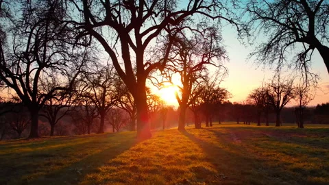 Beautiful sunset on the countryside Stock Footage 169724589