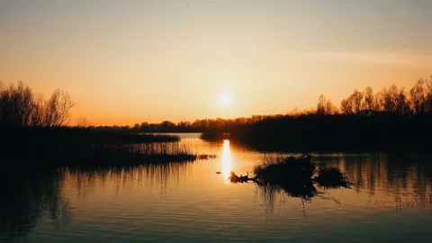 Beautiful sunset in Danube Delta Stock Footage 86441592
