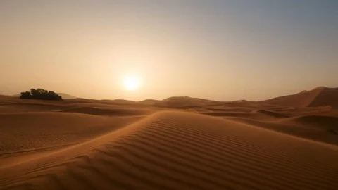 Beautiful sunset in the desert Stock Footage 125248780