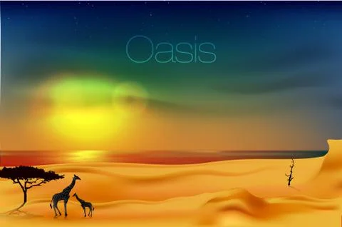 Beautiful sunset in the desert Stock Illustration