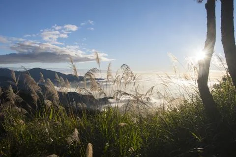 Beautiful sunset with dramatic cloud of sea and mountains in Alishan 스톡 사진