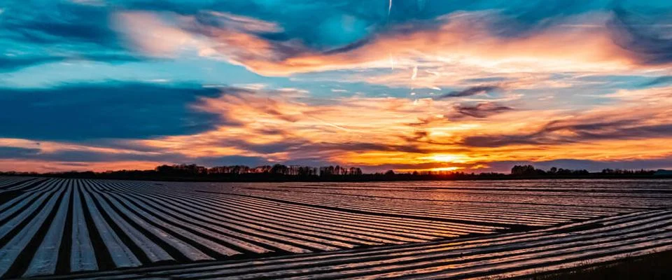 Beautiful sunset with dramatic clouds and reflections on plant cover films... Stock Photos