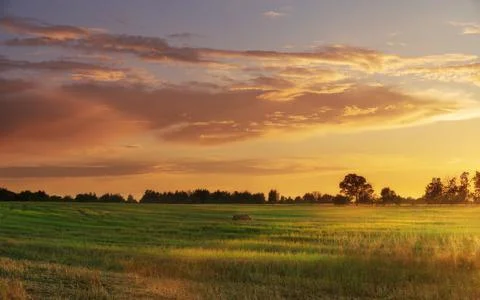 Beautiful sunset with dramatic sky over agricultural field. Stock Photos