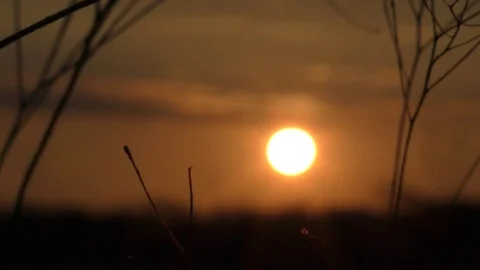 Beautiful Sunset evening Stock Footage 73938534