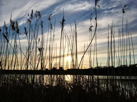Beautiful sunset evening sky with a setting sun 스톡 사진