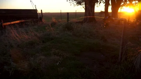Beautiful sunset in a field. Old pipe throwing a thin stream of water on th.. Stock Footage 252396546