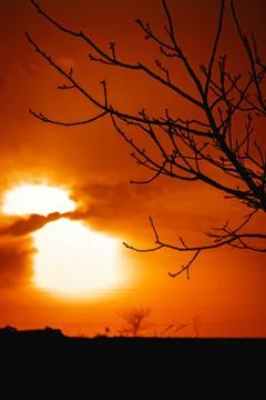 Beautiful sunset is in the field Stock-Fotos
