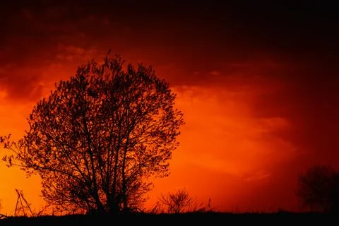 Beautiful sunset is in the field 스톡 사진
