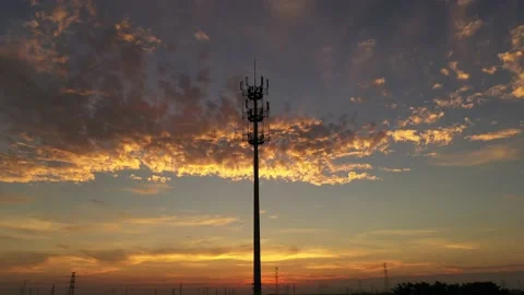 The beautiful sunset in the fields Stock Footage 196454625