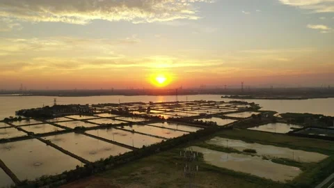 The beautiful sunset in the fields Stock Footage 196454628
