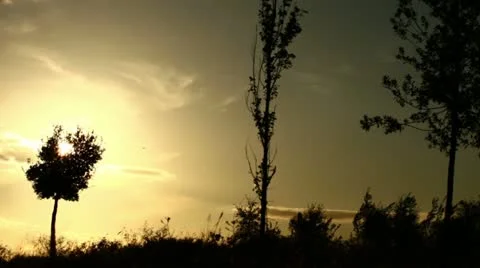 Beautiful sunset Stock Footage 10901595