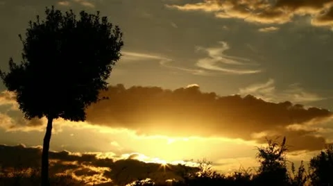 Beautiful sunset  Stock Footage 10901604
