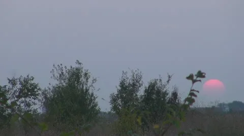 A beautiful sunset Video stock 11887149