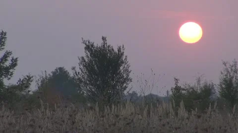 A beautiful sunset Video stock 11887155