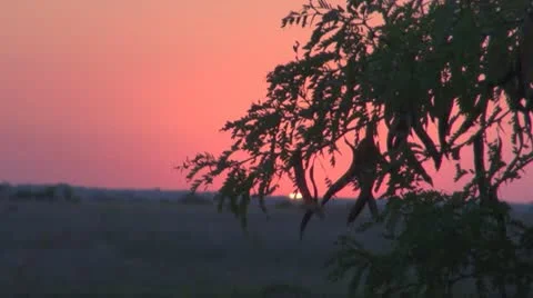 A beautiful sunset Vídeos de archivo 11887274