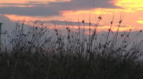 A beautiful sunset Video stock 11887341