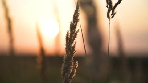 Beautiful sunset Stock Footage 89968778