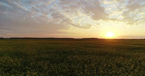 Beautiful sunset Stock Footage 95064831