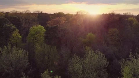 Beautiful sunset Stockbeeldmateriaal 190953298