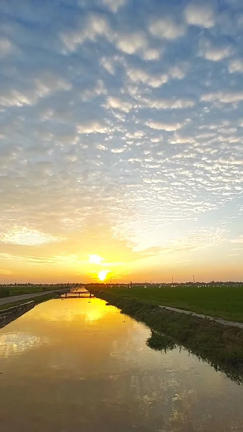 BEAUTIFUL SUNSET Stock Footage 241427838