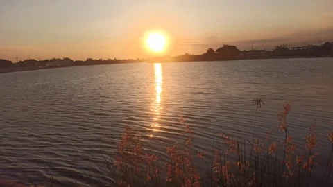 Beautiful sunset Video stock 261453622