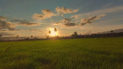 Beautiful sunset Stock Footage 315503955