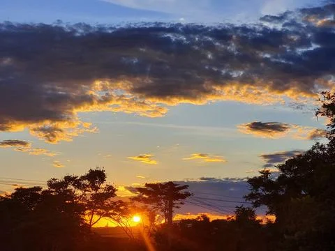 A beautiful sunset at the forest Stock Photos