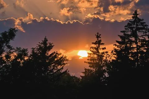 Beautiful sunset forest scene with dramatic clouds. Stock Photos