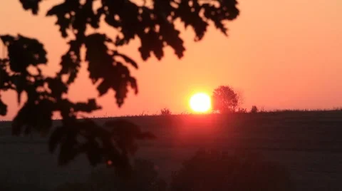 Beautiful Sunset in Forest Timelapse HD Stock Footage 43431059