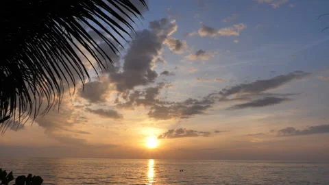 Beautiful sunset in front of a palm tree on a beach in Thailand. Stock Footage 147318289