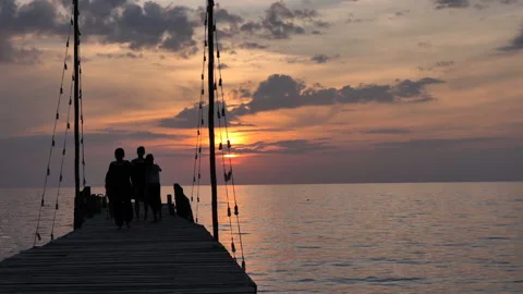 Beautiful sunset in front of a palm tree on a beach in Thailand. Stock Footage 147319685