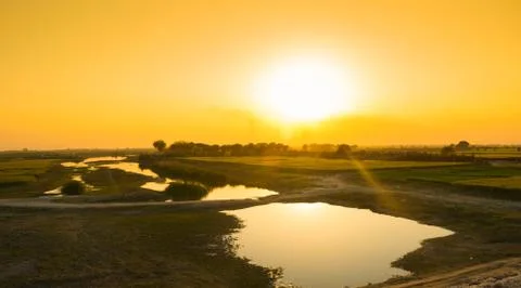 Beautiful sunset on green wheat fields and a small lake Stock Photos