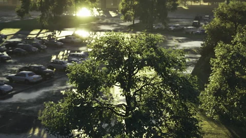 Beautiful sunset illuminates forest reflected on smooth flowing river waters Stock Footage 341827033