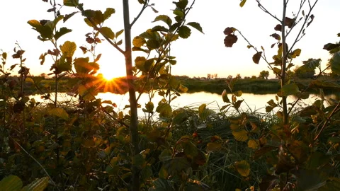 Beautiful sunset by the lake. The camera rises. Slow motion Stock Footage 90914686