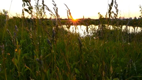 Beautiful sunset by the lake. The camera rises to the sky. Slow motion Stock Footage 90915360