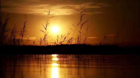 Beautiful Sunset on lake Stock Footage 8520330