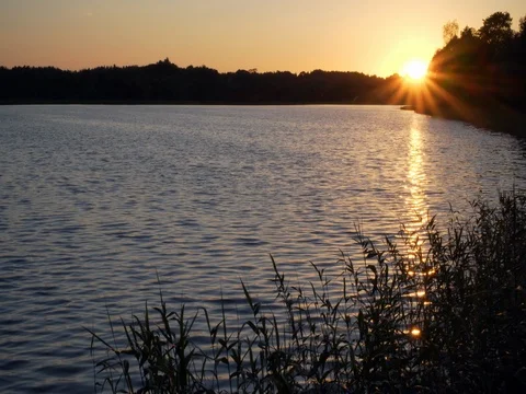 Beautiful sunset on the lake Stock Footage 78552061