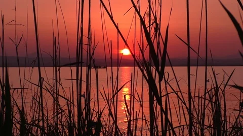 Beautiful sunset on the lake Stock Footage 106753398
