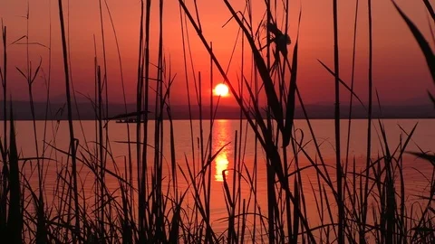 Beautiful sunset on the lake Stock Footage 106753410