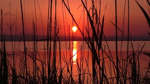 Beautiful sunset on the lake Stock Footage 106753449