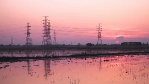 Beautiful sunset landscape at rice fields were flooded . Stock Footage 129097313