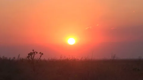 Beautiful sunset in the meadow Stock-Footage 100043938