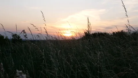 Beautiful sunset in a meadow Vídeos de archivo 113742879