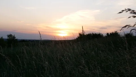 Beautiful sunset in a meadow Vídeos de archivo 113742880