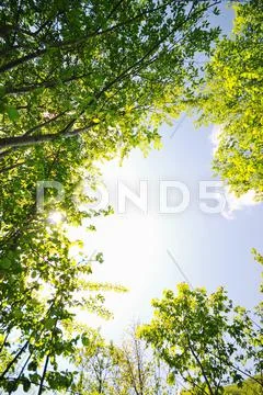 Beautiful sunset in nature Stock Photos