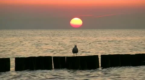 Beautiful Sunset by the Ocean Stock Footage 12419925