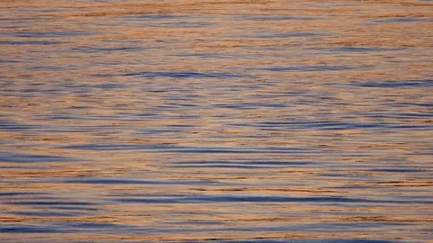 Beautiful sunset on the ocean Stock Footage 116614928