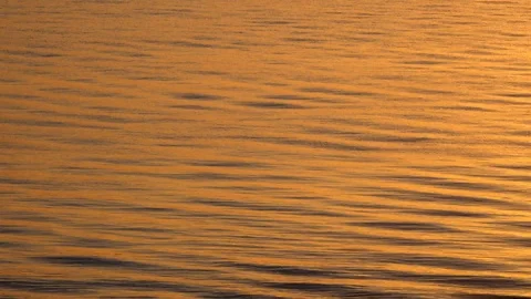 Beautiful sunset on the ocean Stock Footage 116857632
